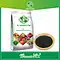 seaweed extract fertilizer